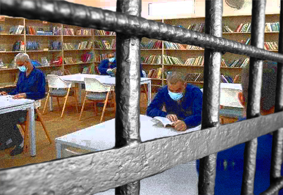 The Right to Education and Egypt's Prison Policies since 2013