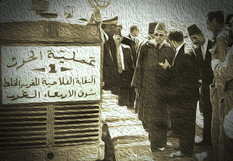 التحديث الفلاحي في المغرب