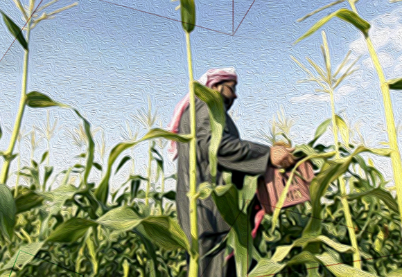 الأمن الغذائي في الدول العربية: تأثير سياسات المؤسسات المالية الدولية وتداعيات التغيرات المناخية