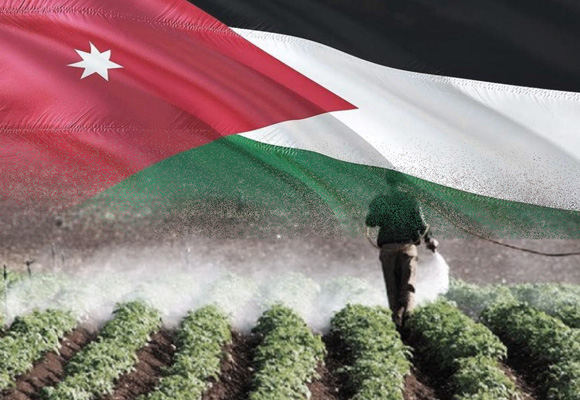 دور توطين التمويل الإنساني في الحد من مخاطر الكوارث وإدارتها