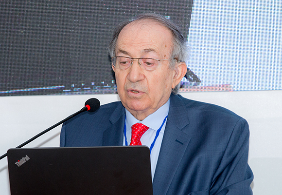 Mohamad Radwan Termanini: Public Policy Problems: Labour Policies in Qatar