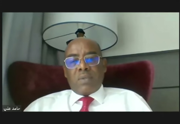 حامد التجاني علي: أسباب الحروب الأهليّة السودانيّة الطويلة الأمد
